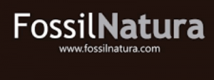 web-logo-fossil-baños